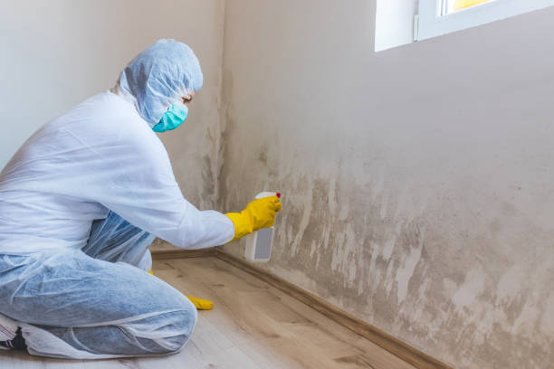 Hvac And Air Duct Mold Remediation inspection of HVAC system in Hewlett